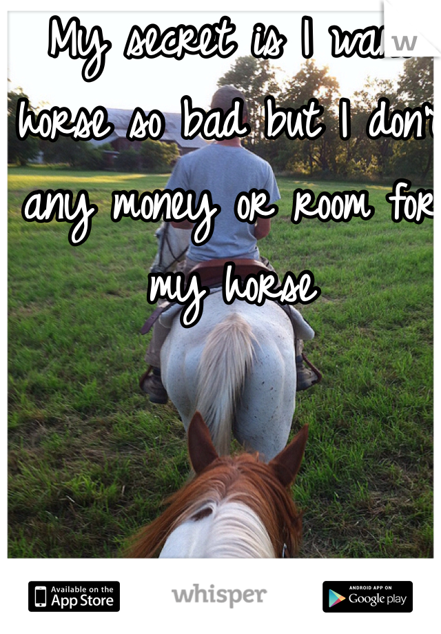 My secret is I want horse so bad but I don't any money or room for my horse 