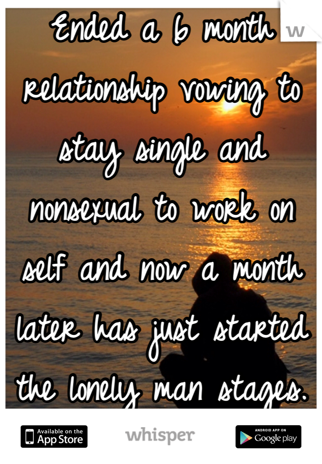 Ended a 6 month relationship vowing to stay single and nonsexual to work on self and now a month later has just started the lonely man stages. 