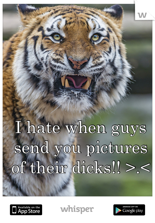 I hate when guys send you pictures of their dicks!! >.<