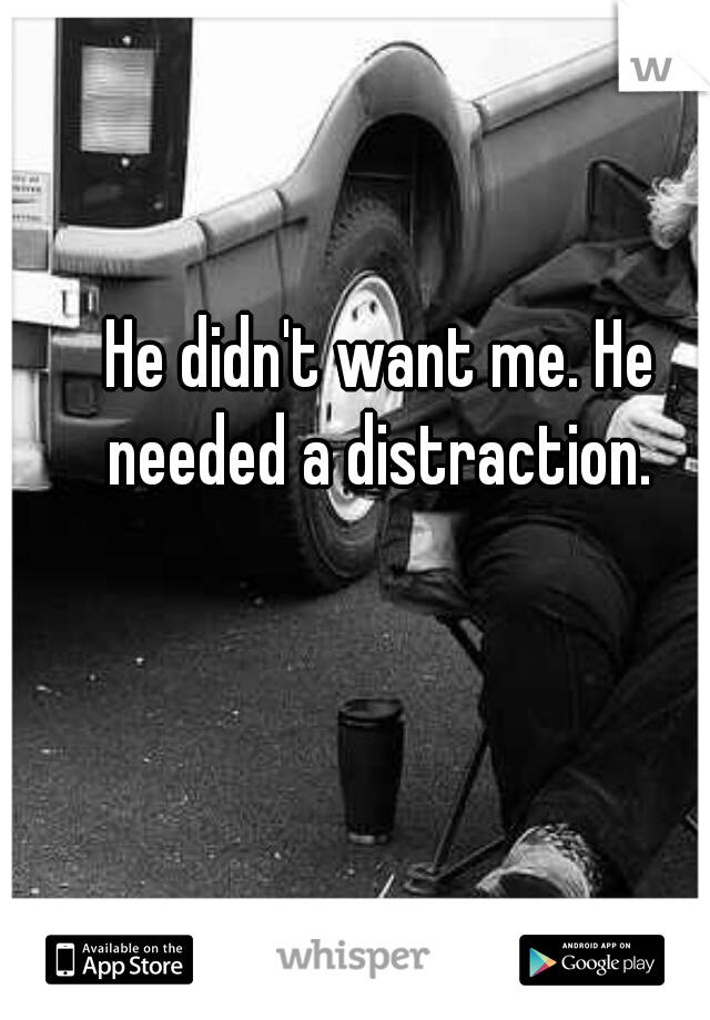 He didn't want me. He needed a distraction. 