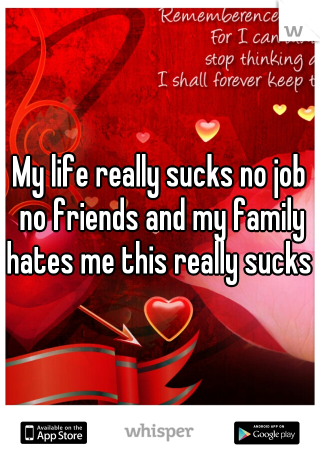 My life really sucks no job no friends and my family hates me this really sucks 