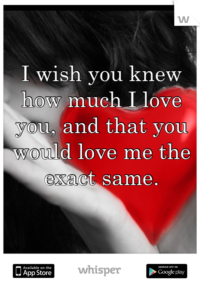 I wish you knew how much I love you, and that you would love me the exact same. 