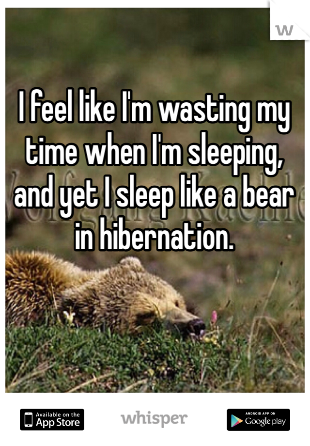 I feel like I'm wasting my time when I'm sleeping, and yet I sleep like a bear in hibernation. 