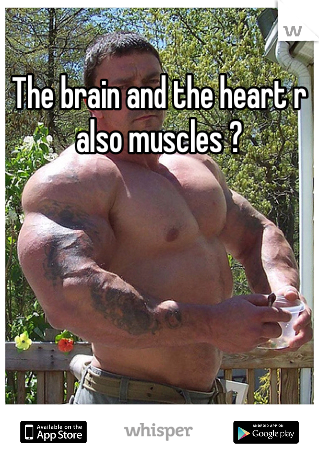 The brain and the heart r also muscles ?