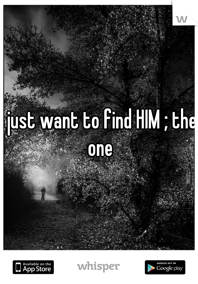 I just want to find HIM ; the one