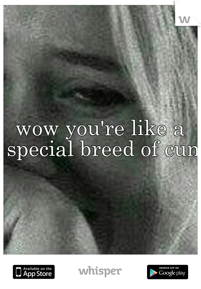 wow you're like a special breed of cunt