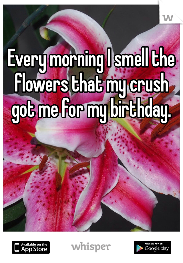 Every morning I smell the flowers that my crush got me for my birthday. 