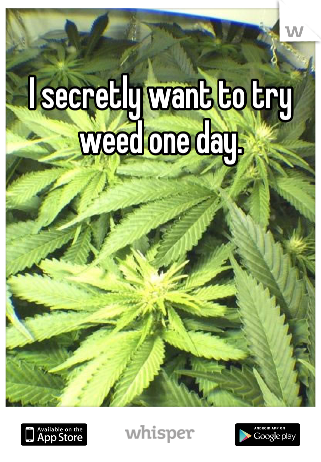 I secretly want to try weed one day.