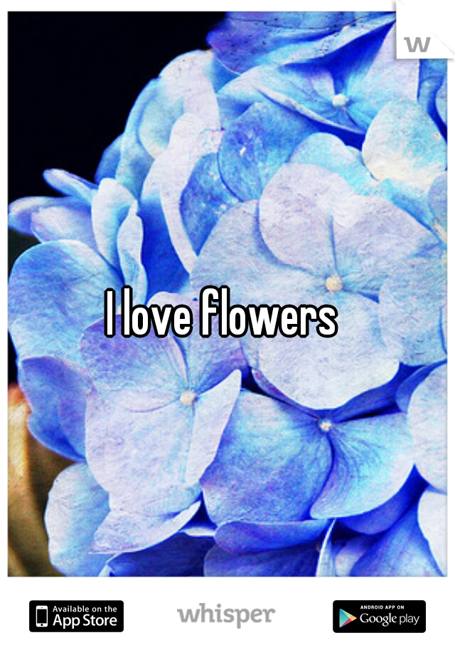 I love flowers 