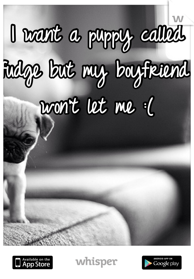 I want a puppy called fudge but my boyfriend won't let me :(