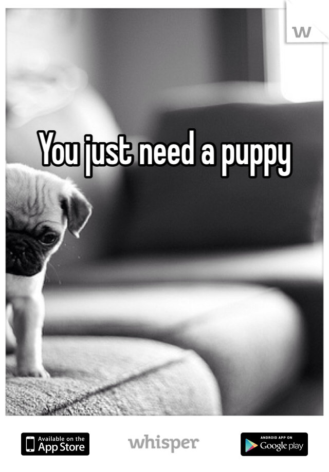You just need a puppy

