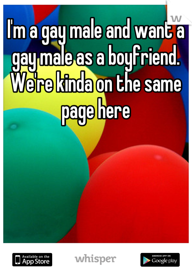 I'm a gay male and want a gay male as a boyfriend. We're kinda on the same page here