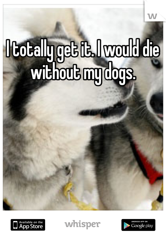 I totally get it. I would die without my dogs. 