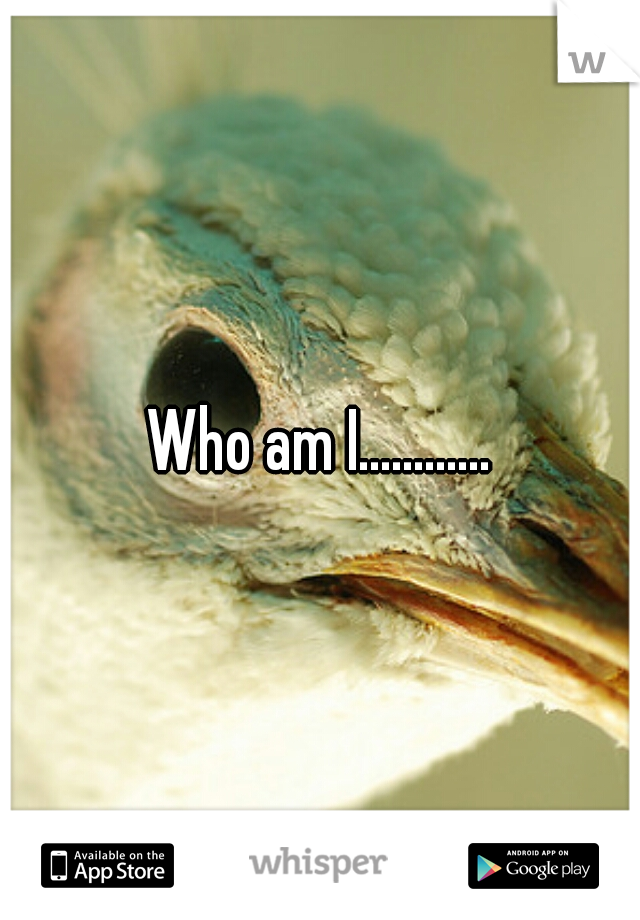 Who am I............