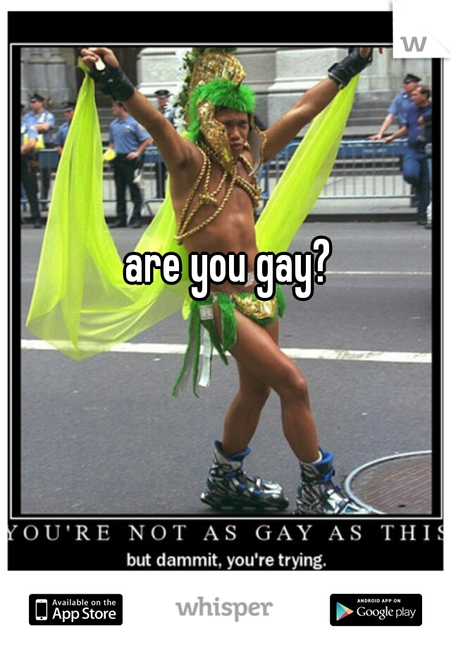 are you gay?
