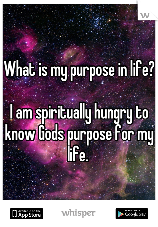 What is my purpose in life?

I am spiritually hungry to know Gods purpose for my life. 