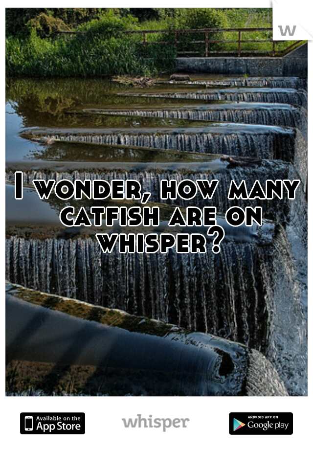 I wonder, how many catfish are on whisper?