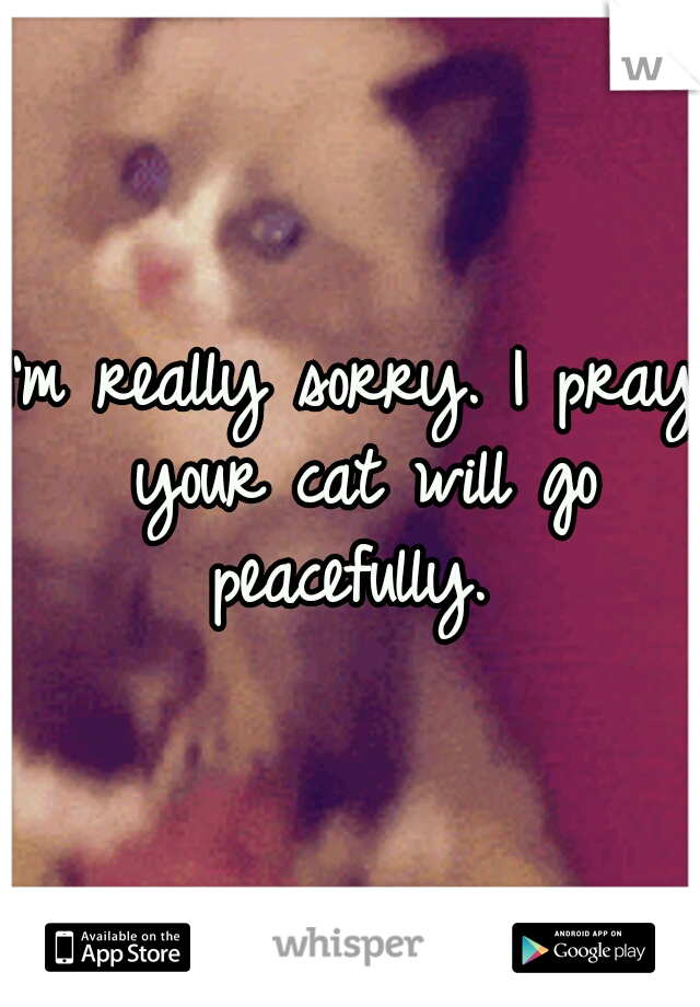 I'm really sorry. I pray your cat will go peacefully. 
