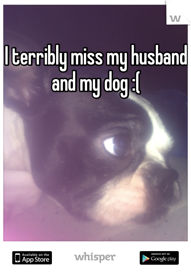 I terribly miss my husband and my dog :(