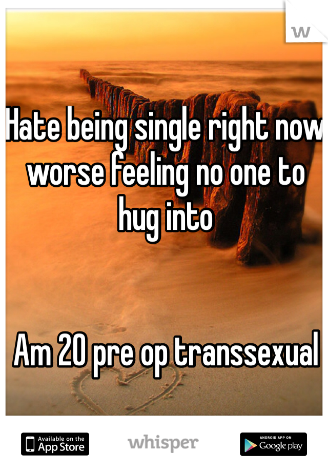 Hate being single right now worse feeling no one to hug into 


Am 20 pre op transsexual 
