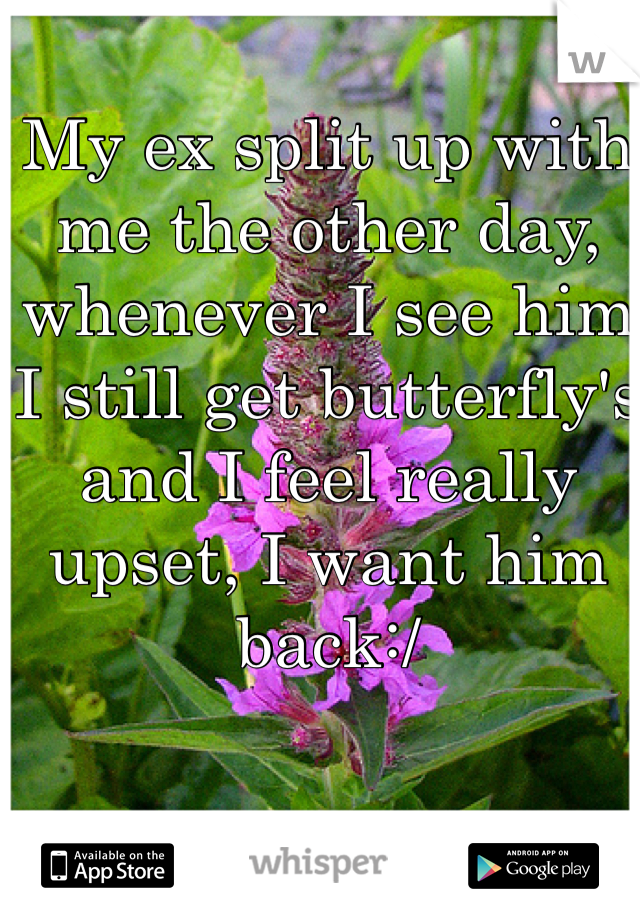 My ex split up with me the other day, whenever I see him I still get butterfly's and I feel really upset, I want him back:/