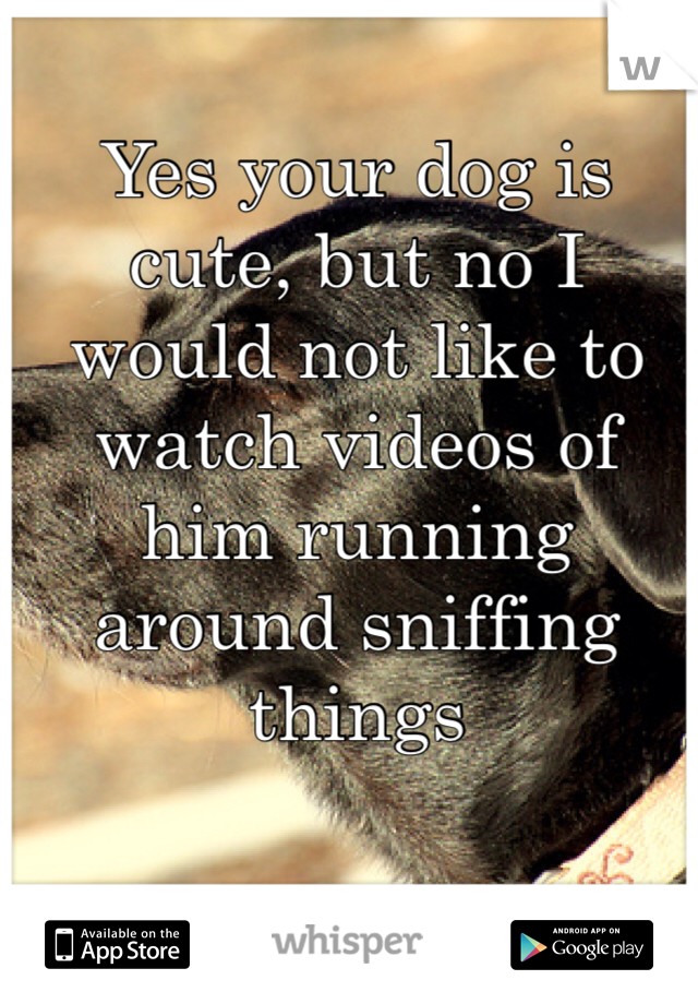 Yes your dog is cute, but no I would not like to watch videos of him running around sniffing things
