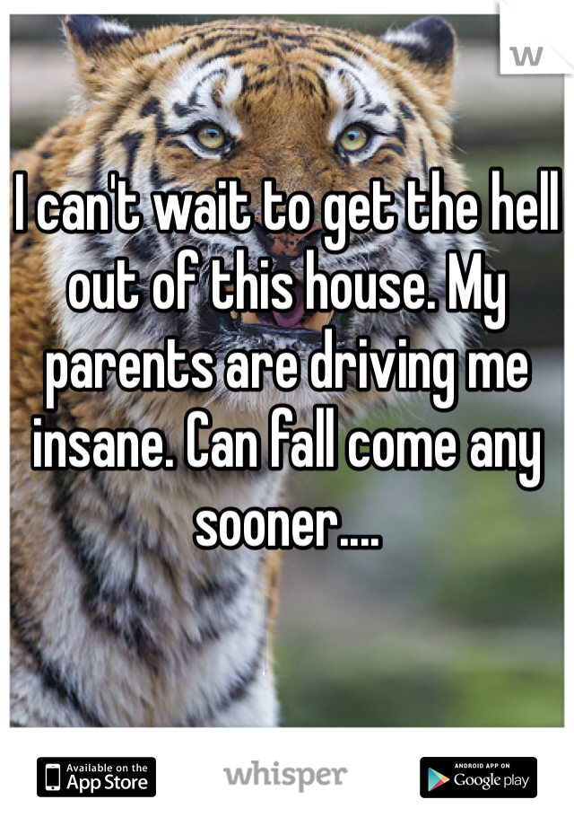 I can't wait to get the hell out of this house. My parents are driving me insane. Can fall come any sooner....