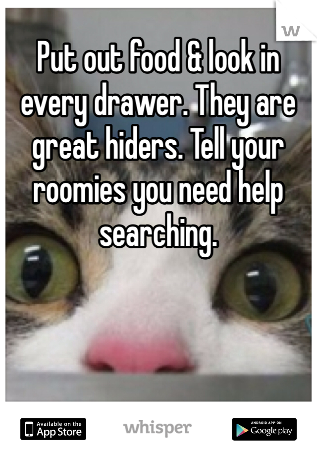 Put out food & look in every drawer. They are great hiders. Tell your roomies you need help searching. 