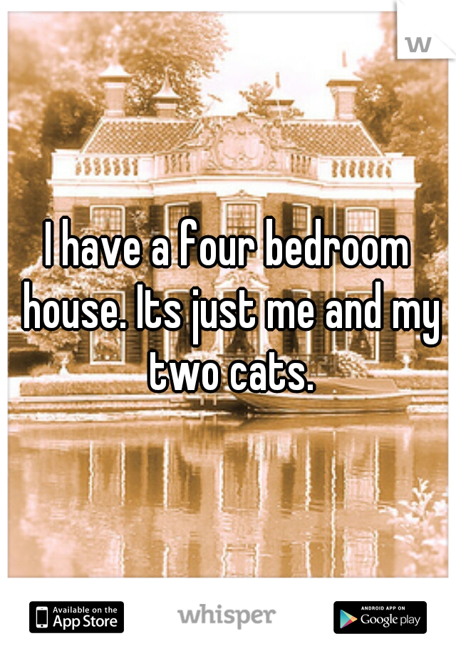 I have a four bedroom house. Its just me and my two cats.