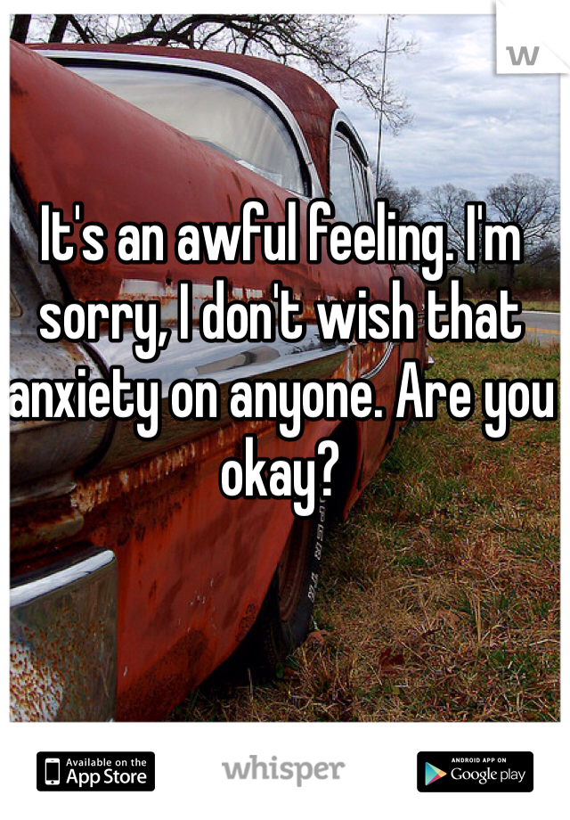 It's an awful feeling. I'm sorry, I don't wish that anxiety on anyone. Are you okay?
