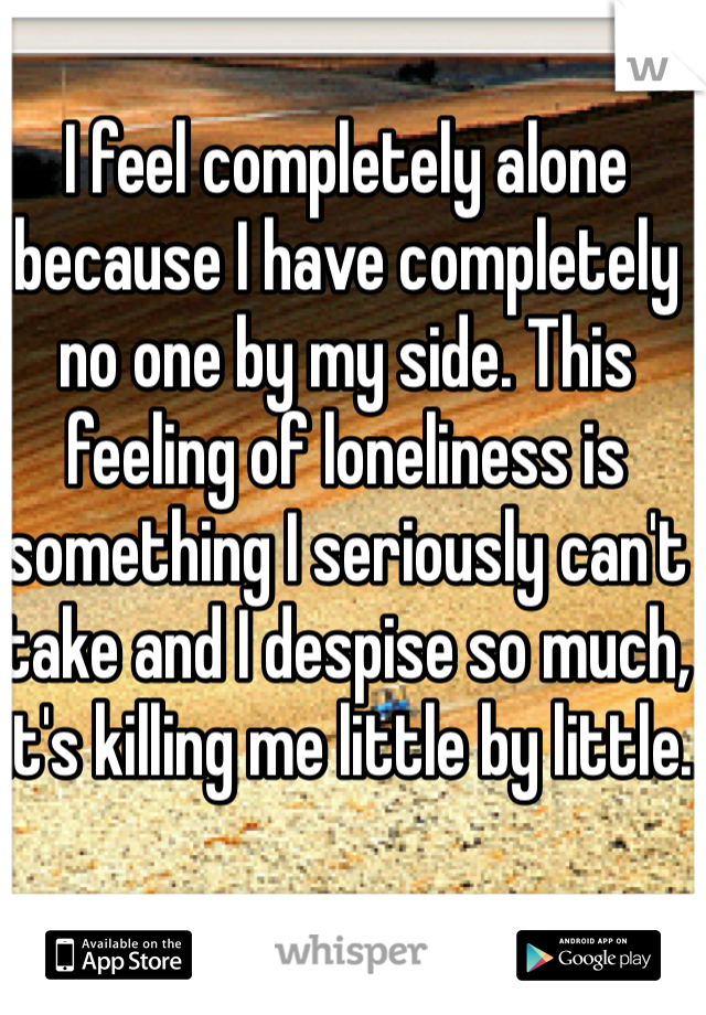 I feel completely alone because I have completely no one by my side. This feeling of loneliness is something I seriously can't take and I despise so much, it's killing me little by little. 