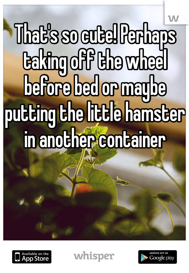 That's so cute! Perhaps taking off the wheel before bed or maybe putting the little hamster in another container 