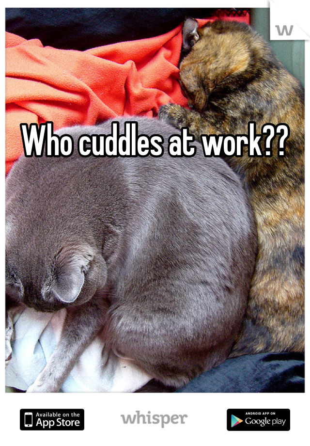 Who cuddles at work??