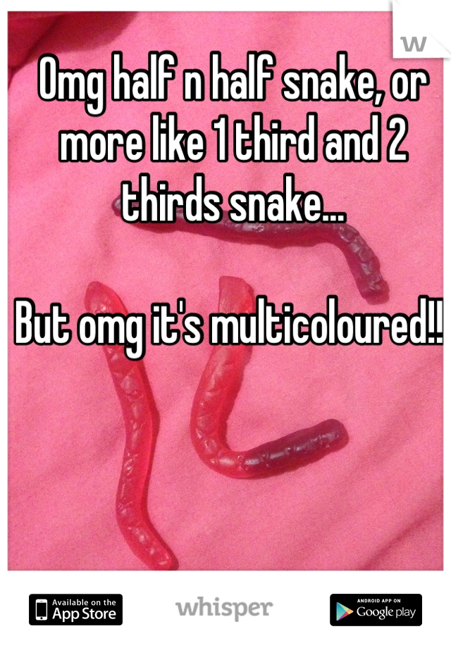 Omg half n half snake, or more like 1 third and 2 thirds snake...

But omg it's multicoloured!!!
