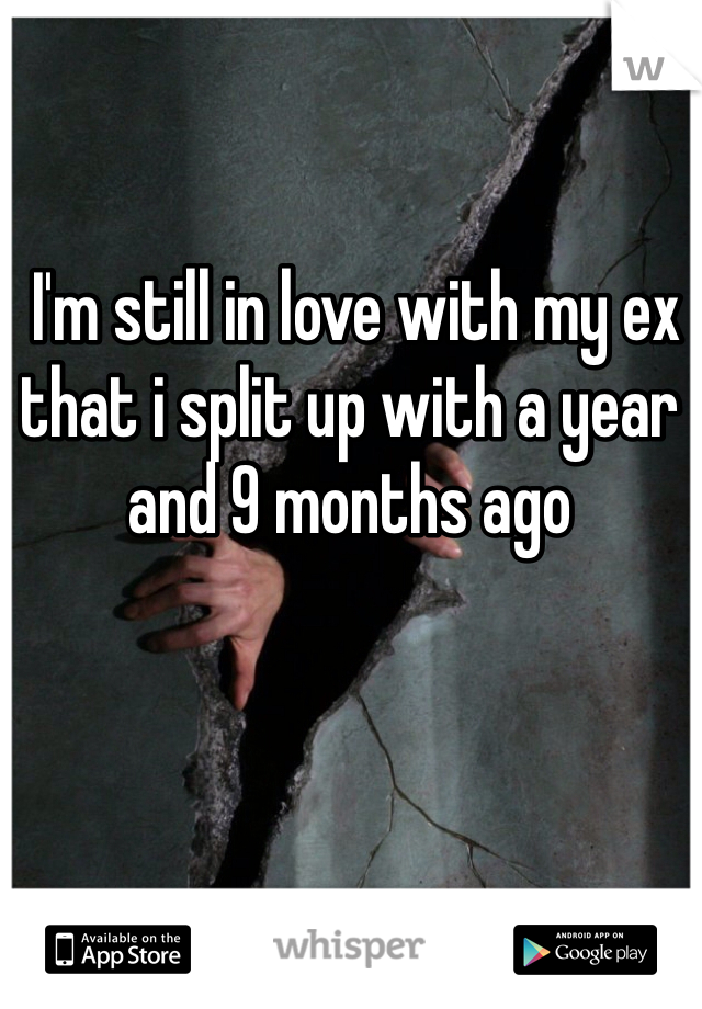 I'm still in love with my ex that i split up with a year and 9 months ago