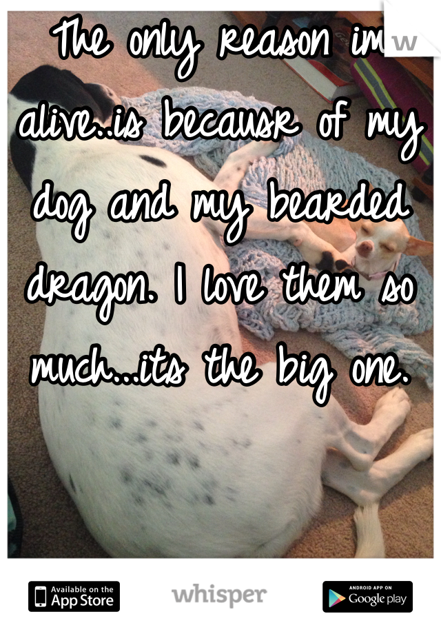 The only reason im alive..is becausr of my dog and my bearded dragon. I love them so much...its the big one.