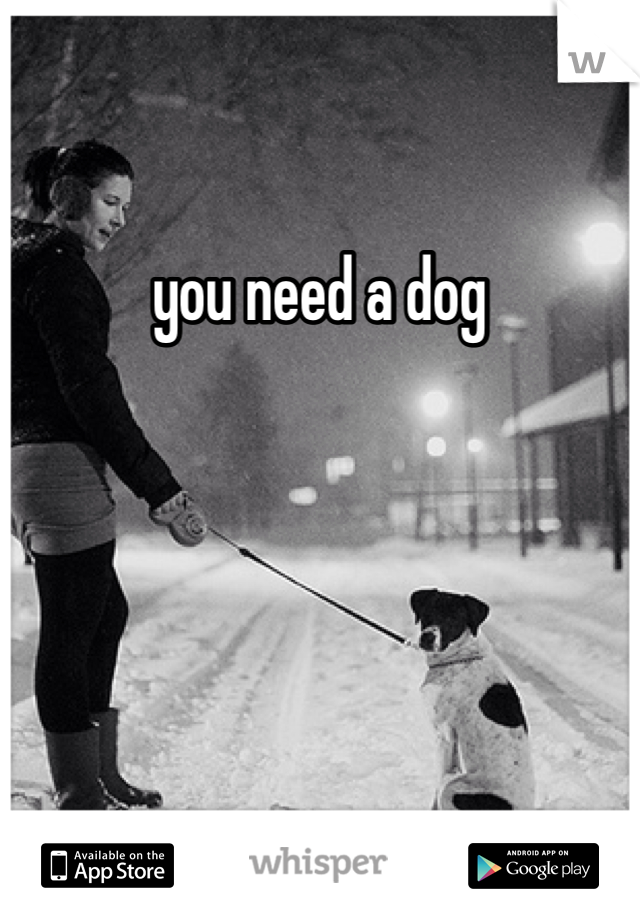 you need a dog
