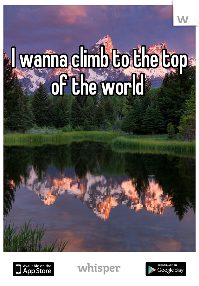 I wanna climb to the top of the world 