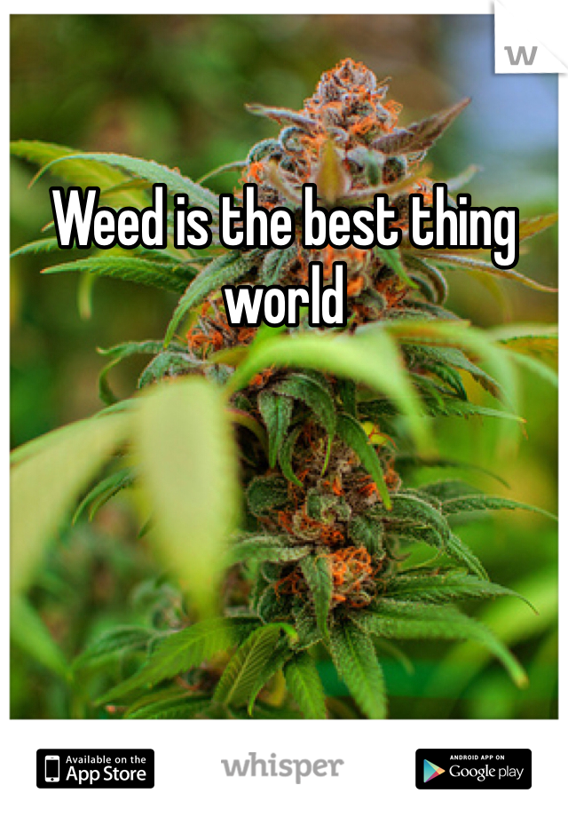 Weed is the best thing world