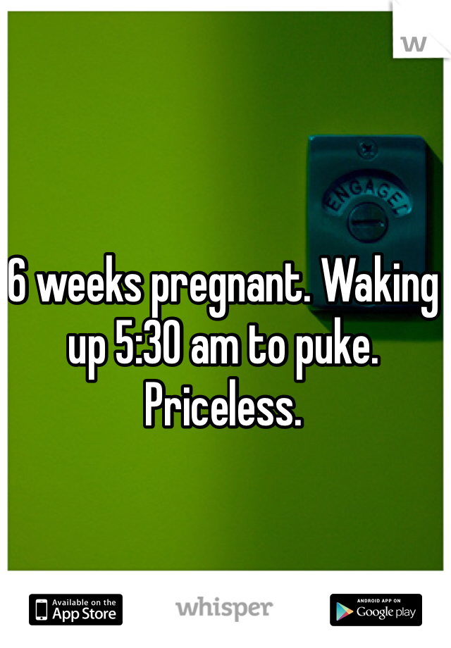 6 weeks pregnant. Waking up 5:30 am to puke. Priceless. 