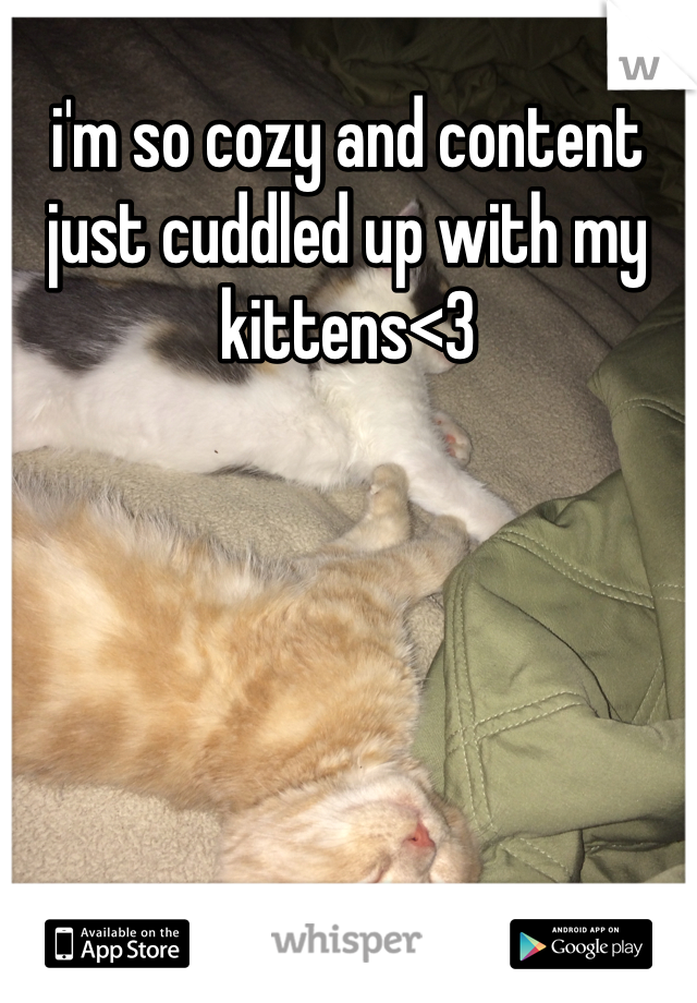 i'm so cozy and content just cuddled up with my kittens<3 