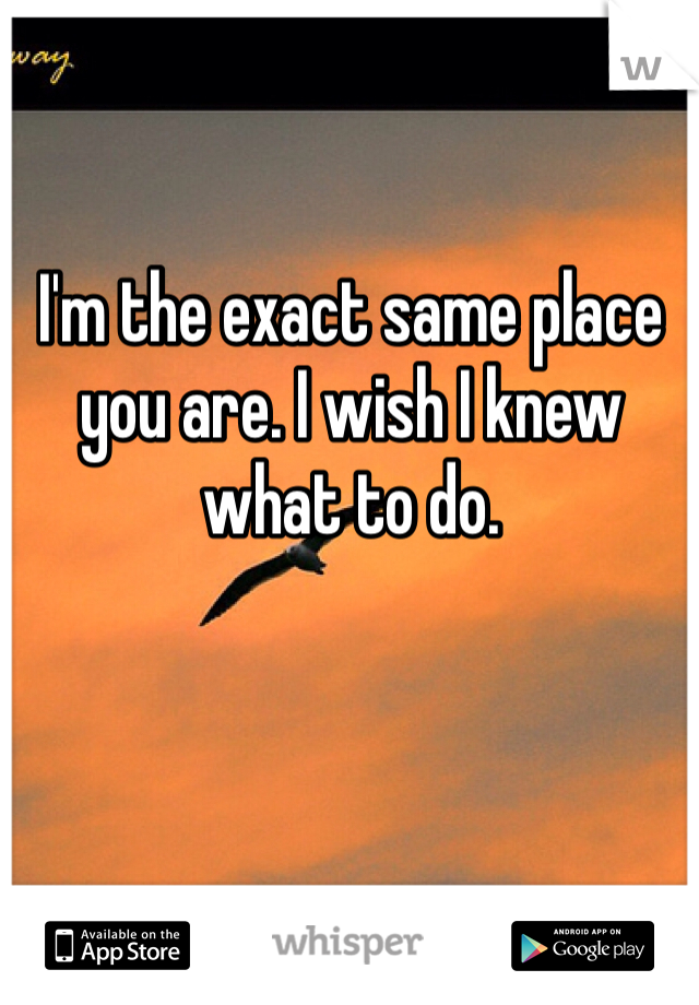 I'm the exact same place you are. I wish I knew what to do. 
