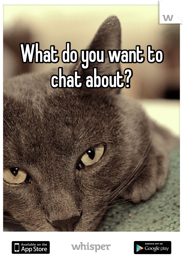 What do you want to chat about?