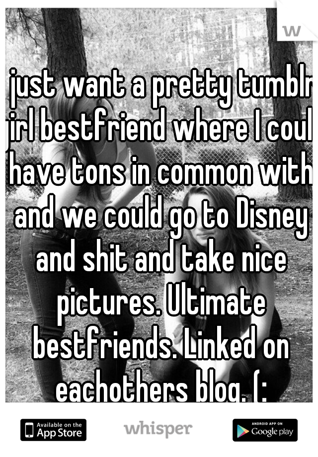 I just want a pretty tumblr girl bestfriend where I could have tons in common with and we could go to Disney and shit and take nice pictures. Ultimate bestfriends. Linked on eachothers blog. (:
