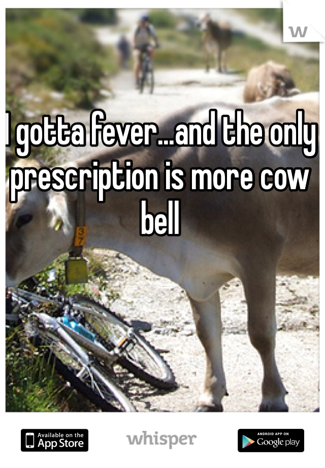 I gotta fever...and the only prescription is more cow bell