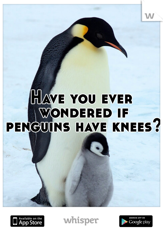 Have you ever wondered if penguins have knees?