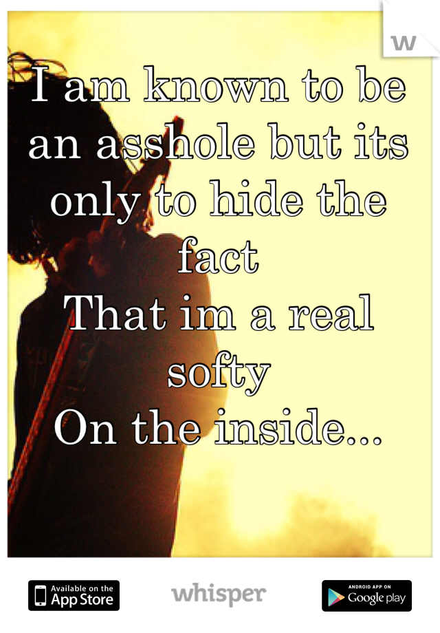 I am known to be an asshole but its only to hide the fact 
That im a real softy 
On the inside...