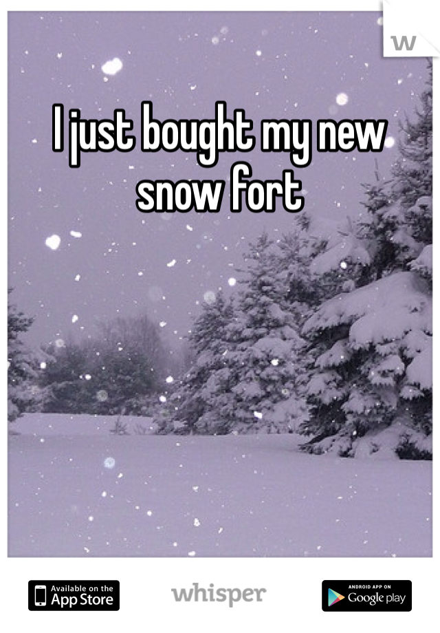 I just bought my new snow fort