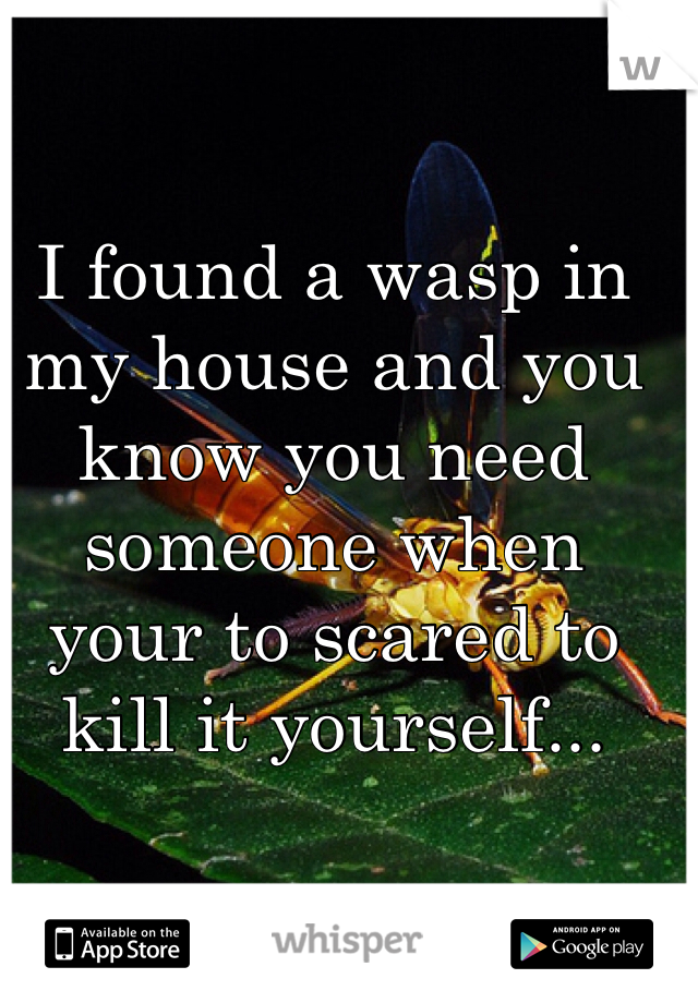 I found a wasp in my house and you know you need someone when your to scared to  kill it yourself...
