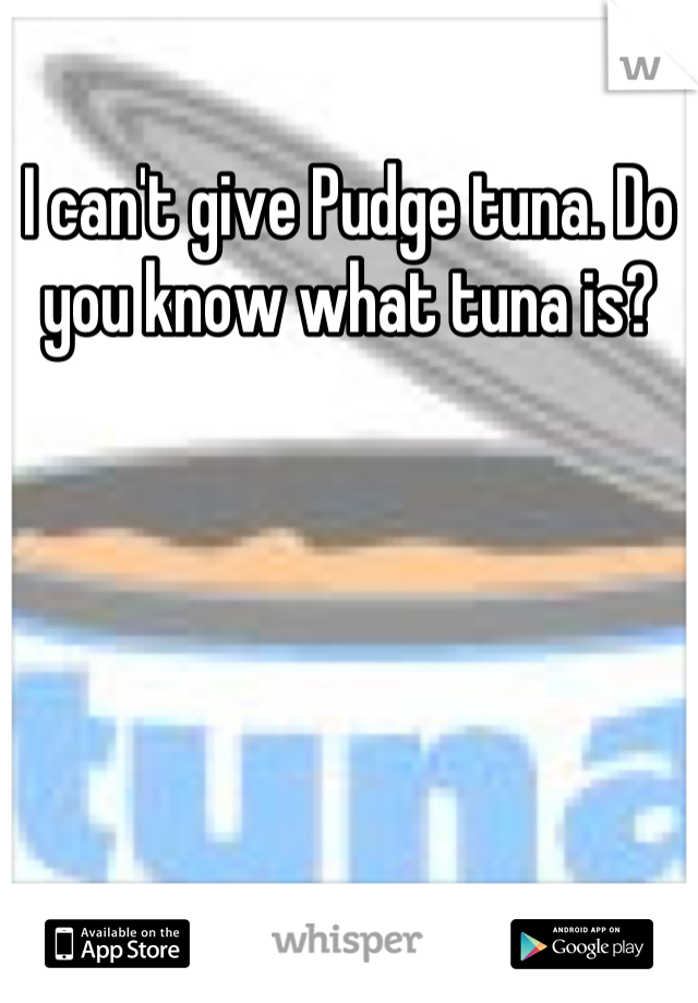 I can't give Pudge tuna. Do you know what tuna is?